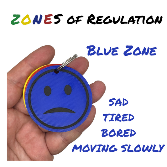 Zones of Regulation Keychain | Emotional Regulation Tool for SEN-D,Autism,ADHD